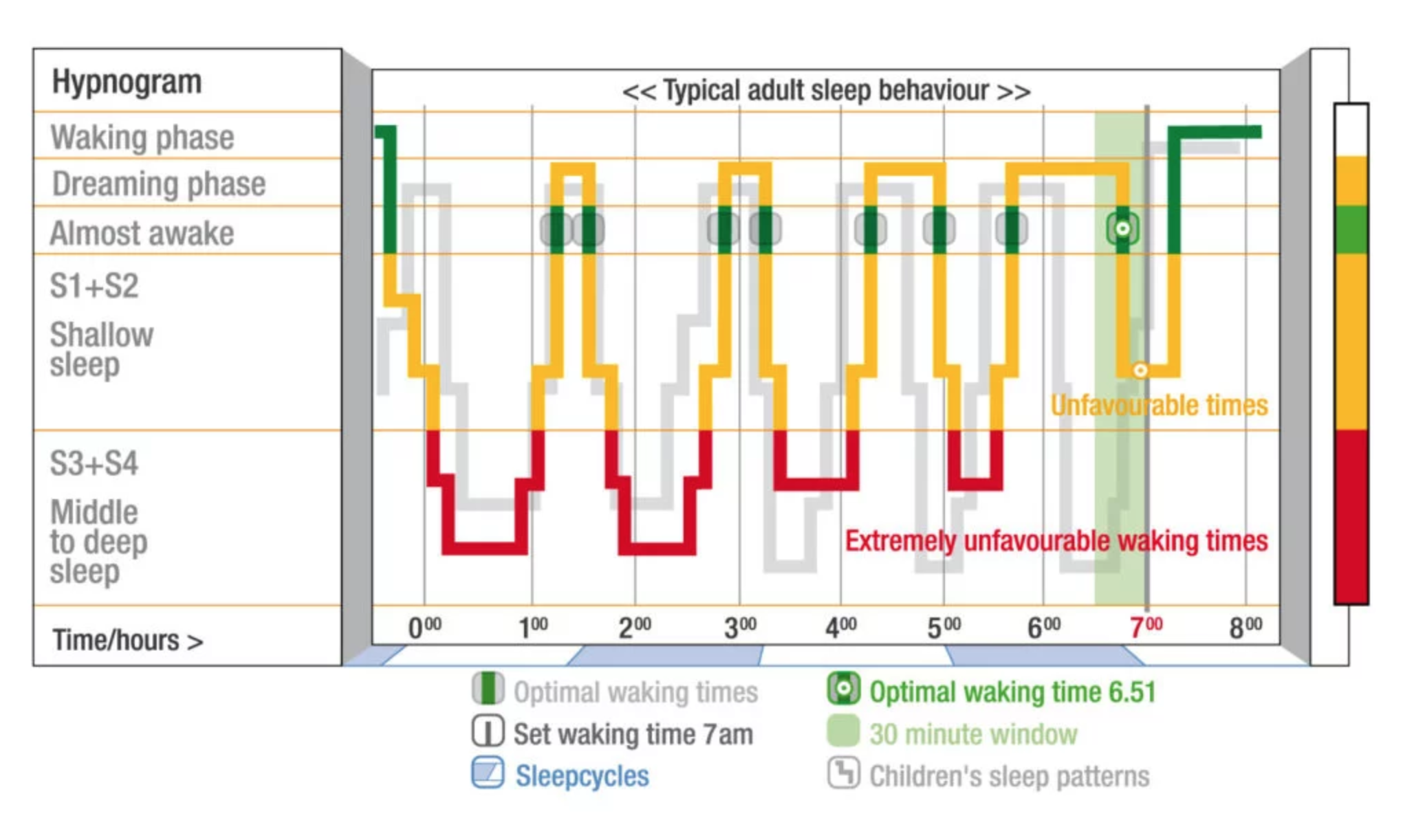 Пробуждение анализ. Фазы сна схема. Циклы сна для пробуждения. Фазы сна диаграмма. Диаграмма сна человека.